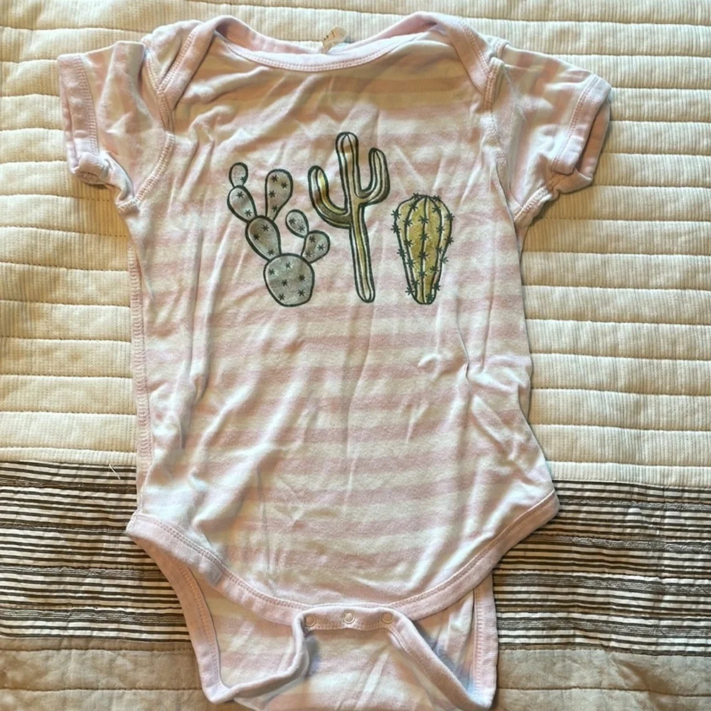 Set of 4 Boho Western Baby Onesies – Southwest Desert Animals Cactus – Size 24M